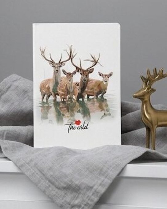 Stationery image 4